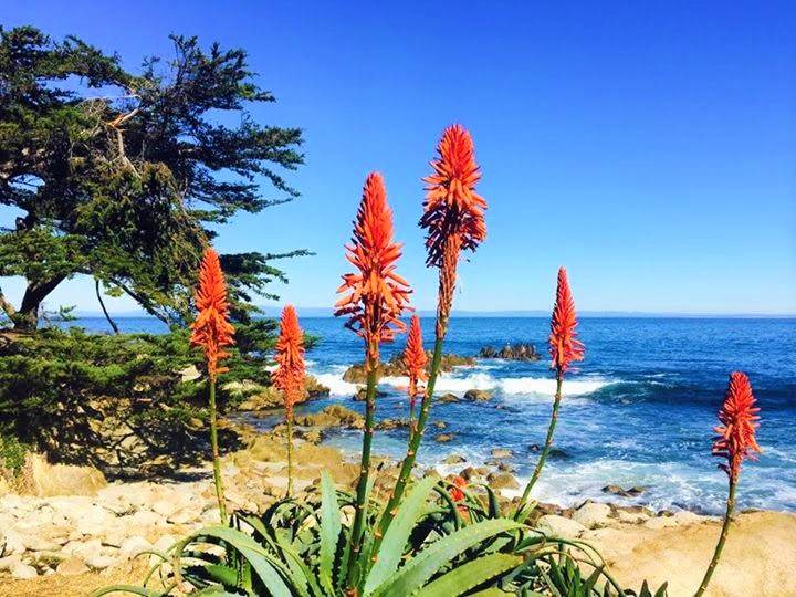 Carmel Point House | 279 m² House ∙ 3 bedrooms ∙ 6 guests