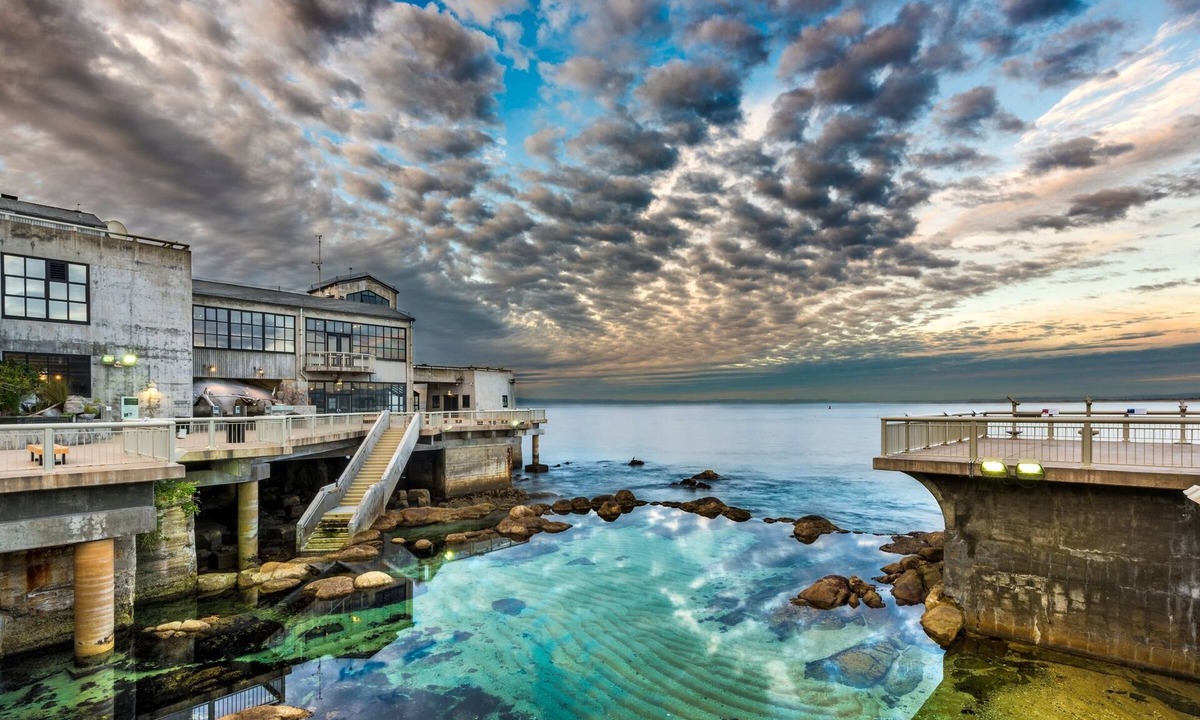 Pacific Grove House | 3788 Seagull's Nest ~ Walk to Downtown & Beach, Views of the Bay & Sea Life!