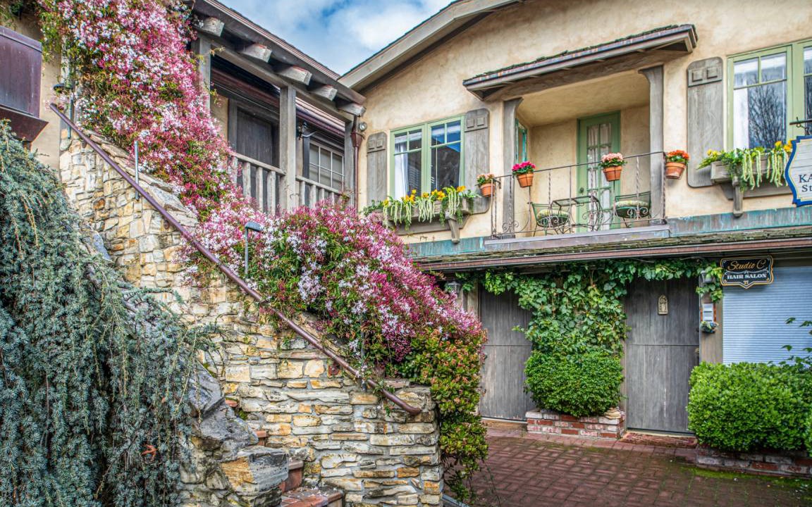Northwest Carmel Apartment | 40 m² Apartment ∙ 1 bedroom ∙ 3 guests