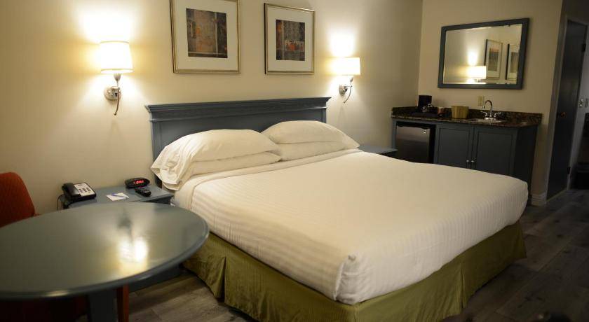 Pasadena Hotel | 76 m² Hotel ∙ 127 guests