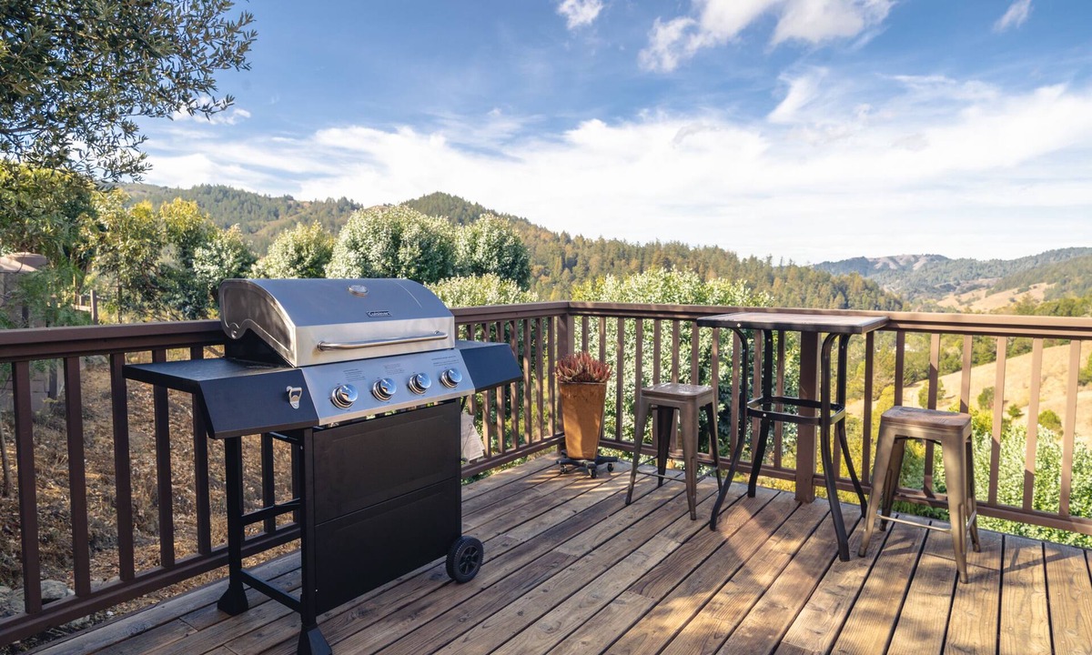 Woodacre House | Baby Hawk Nest w/Views