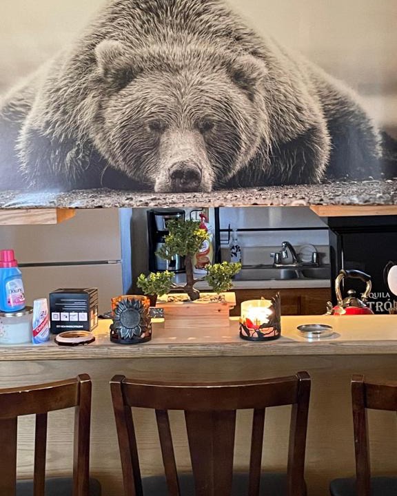 Woodlands House | Big bear home