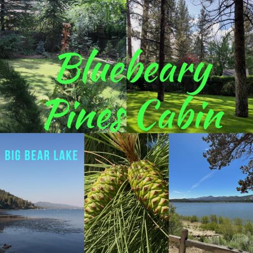 Winter Park House | BLUEBEARY PINES-PERFECT ESCAPE-PRIVATE HOT TUB-WALK to SKI SHUTTLES