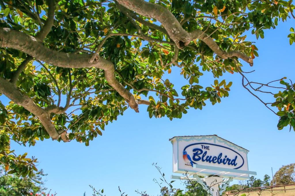 Cambria Hotel | Bluebird Inn