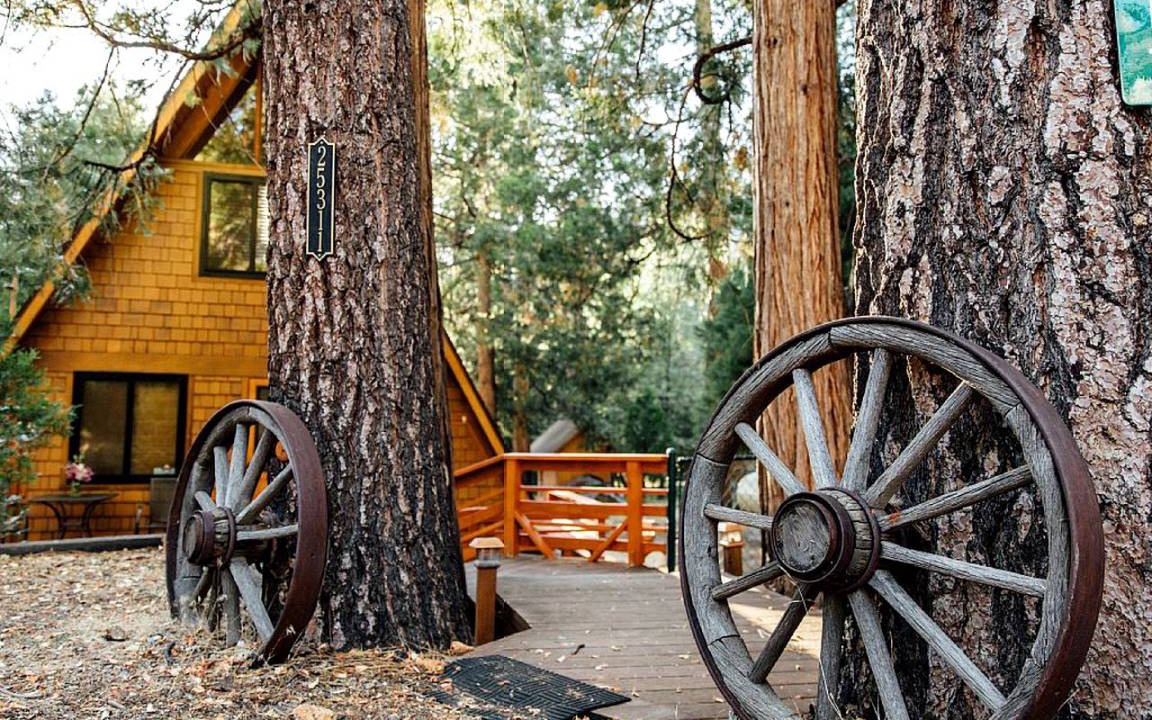 Fern Valley Cabin | Cabin ∙ 1 bedroom ∙ 2 guests