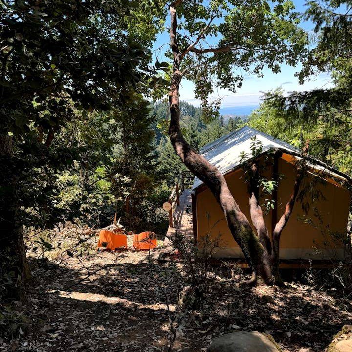 Redwood City Other | Camping ∙ 1 bedroom ∙ 3 guests