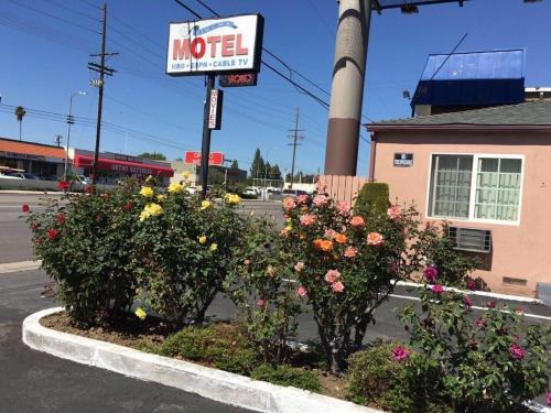 Cinema Motel | Van Nuys