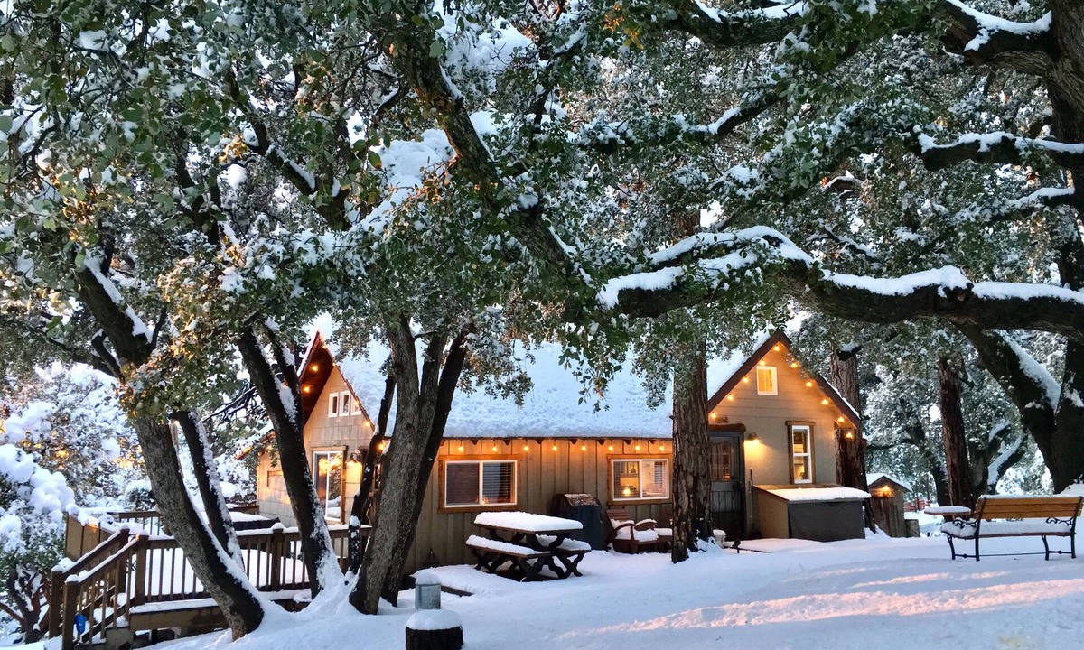 Pine Cove Cabin | "Cozy Oaks Cabin" Peaceful Mountain Getaway, Charming & Romantic! Trail Pass.