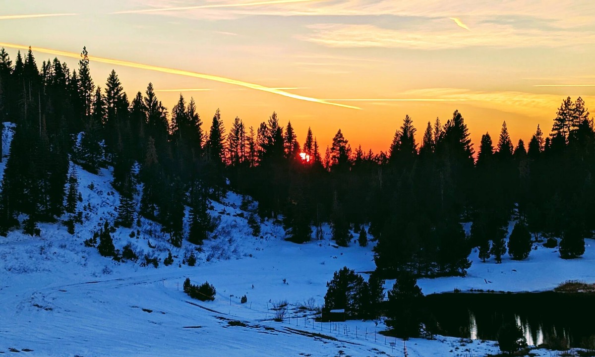 Pinecrest House | Cozy Pinecrest-Dodge Ridge Area Summer/Winter Fun Resort with King-Size Bed!