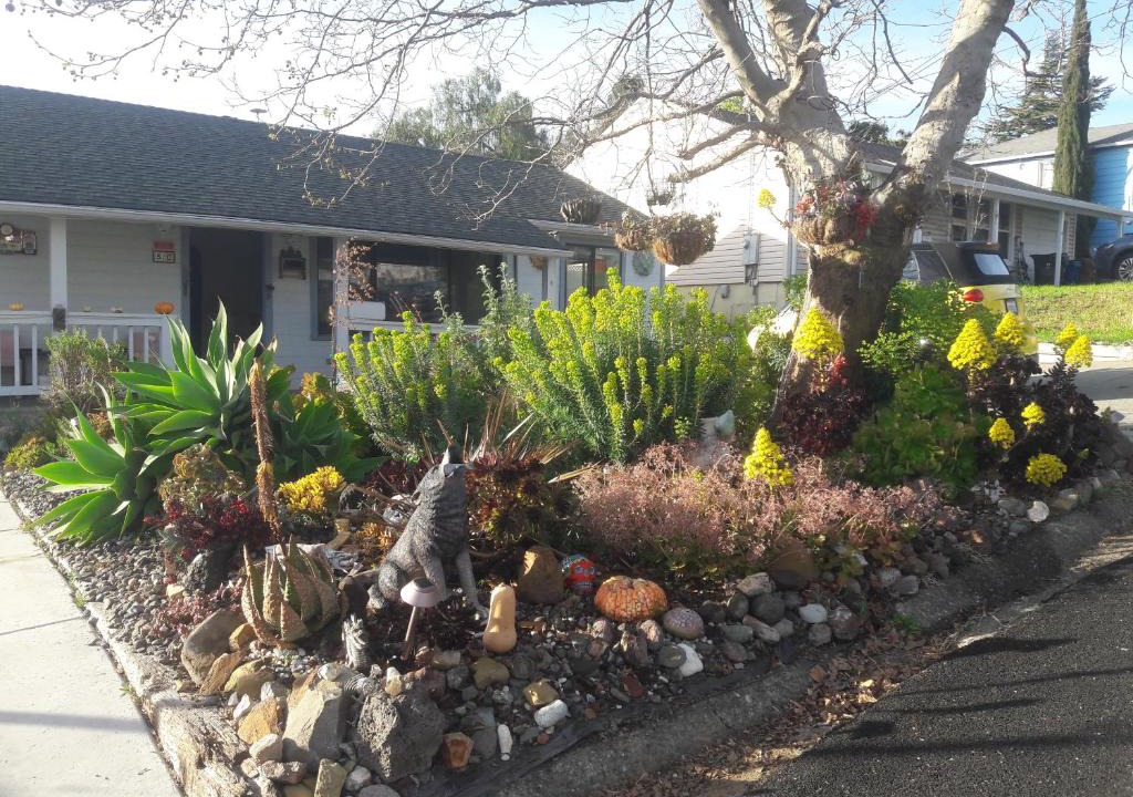 Benicia Apartment | Cozy, Quiet Home in Family-Friendly Neighborhood!