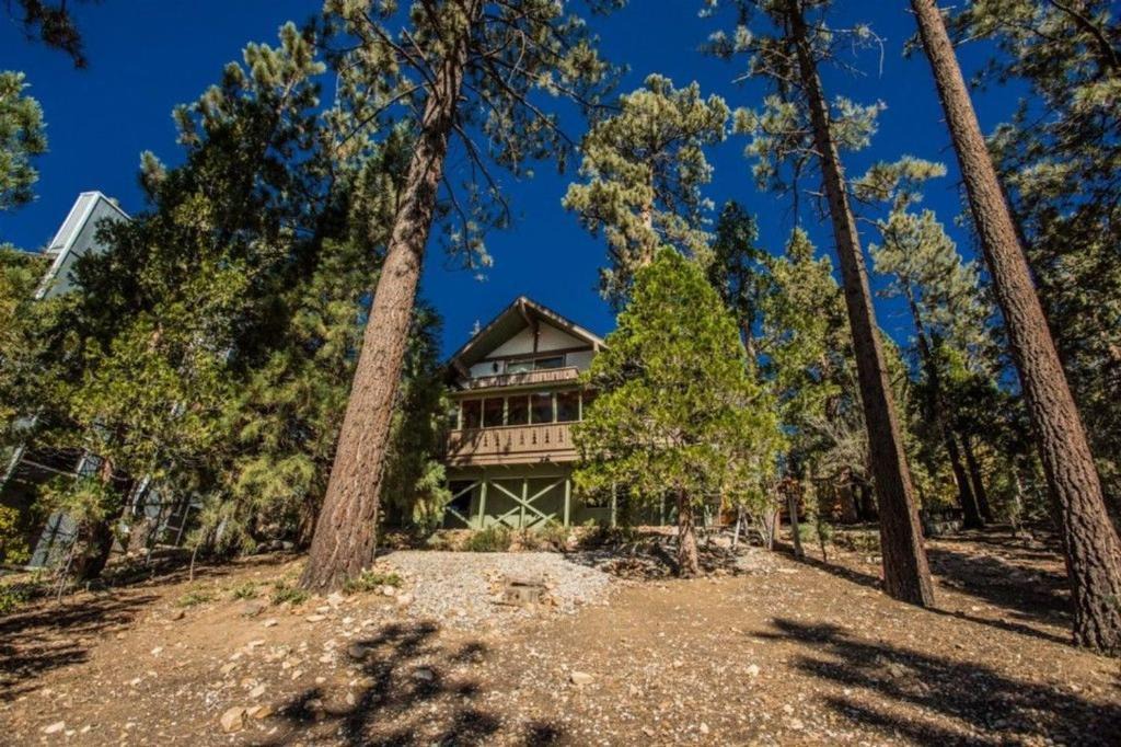 Whispering Forest House | D and V Retreat