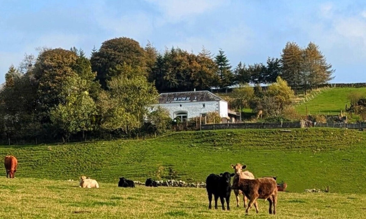 Castle Douglas House | Durhamhill Coach House - llamas, games room/mini cinema, sidecar & fun