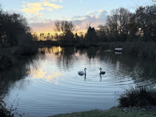 Bourton House | Fleece Lodge