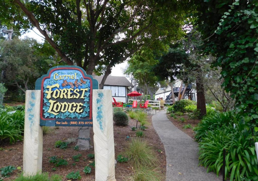 Southeast Carmel Cabin | Forest Lodge