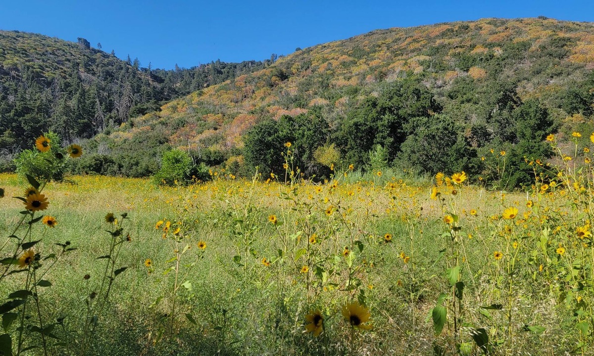 Lake Hughes House | Gather your party for an escape with amazing views, situated on 100+ acres.