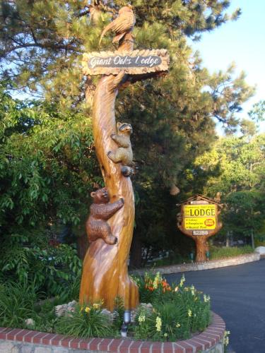 Escape All Seasons Bear | Running Springs