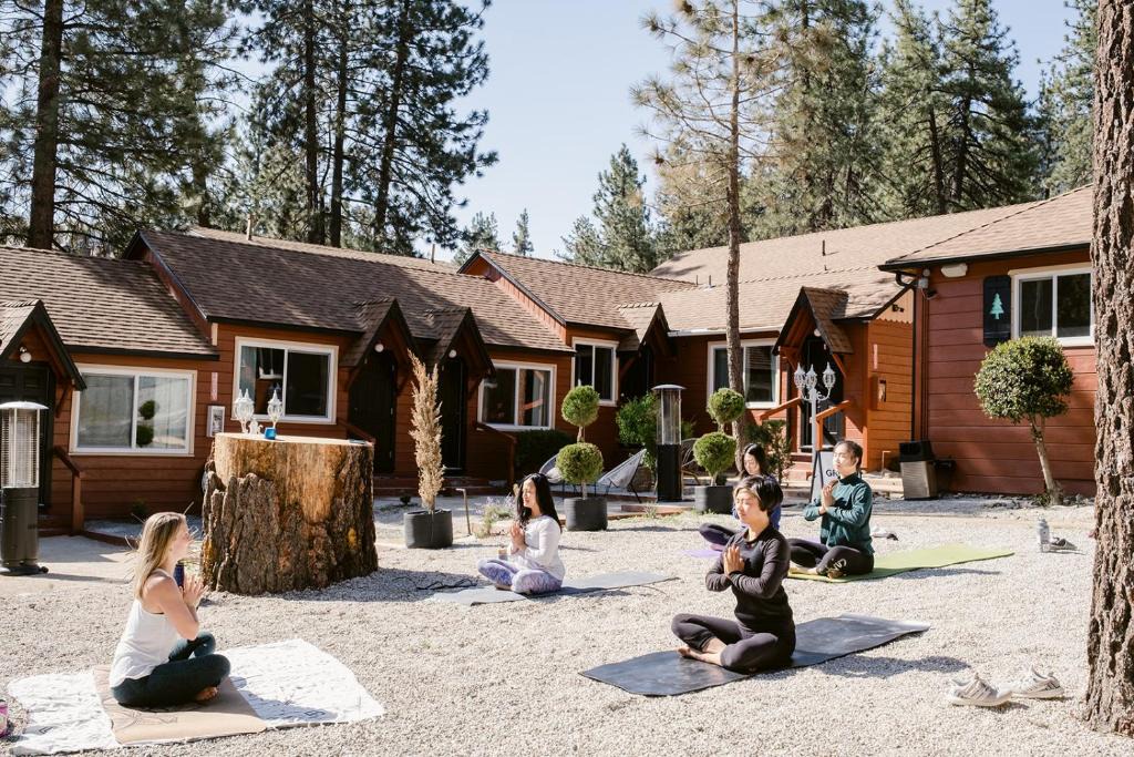 Grand Pine | Wrightwood