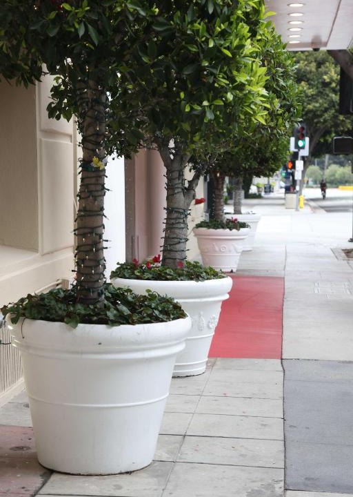 Downtown Hotel | Hotel Carmel Santa Monica