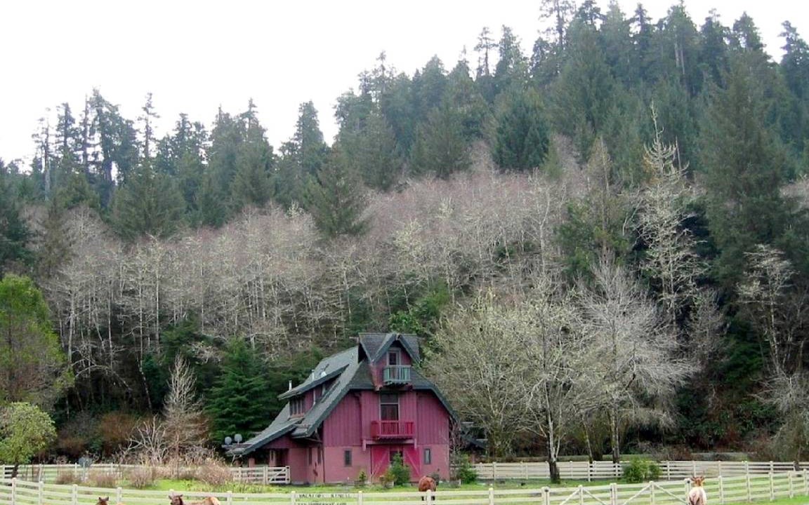 Berry Glenn House | House ∙ 1 bedroom ∙ 5 guests