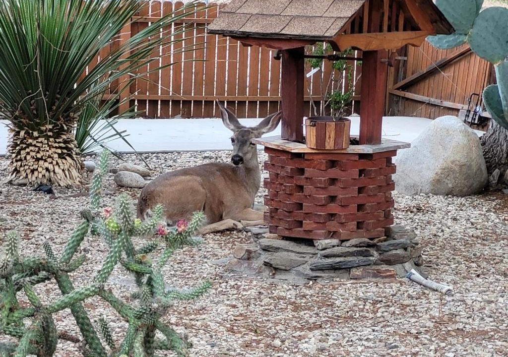 Kernville House | Kernville - walk to River Kern & Downtown