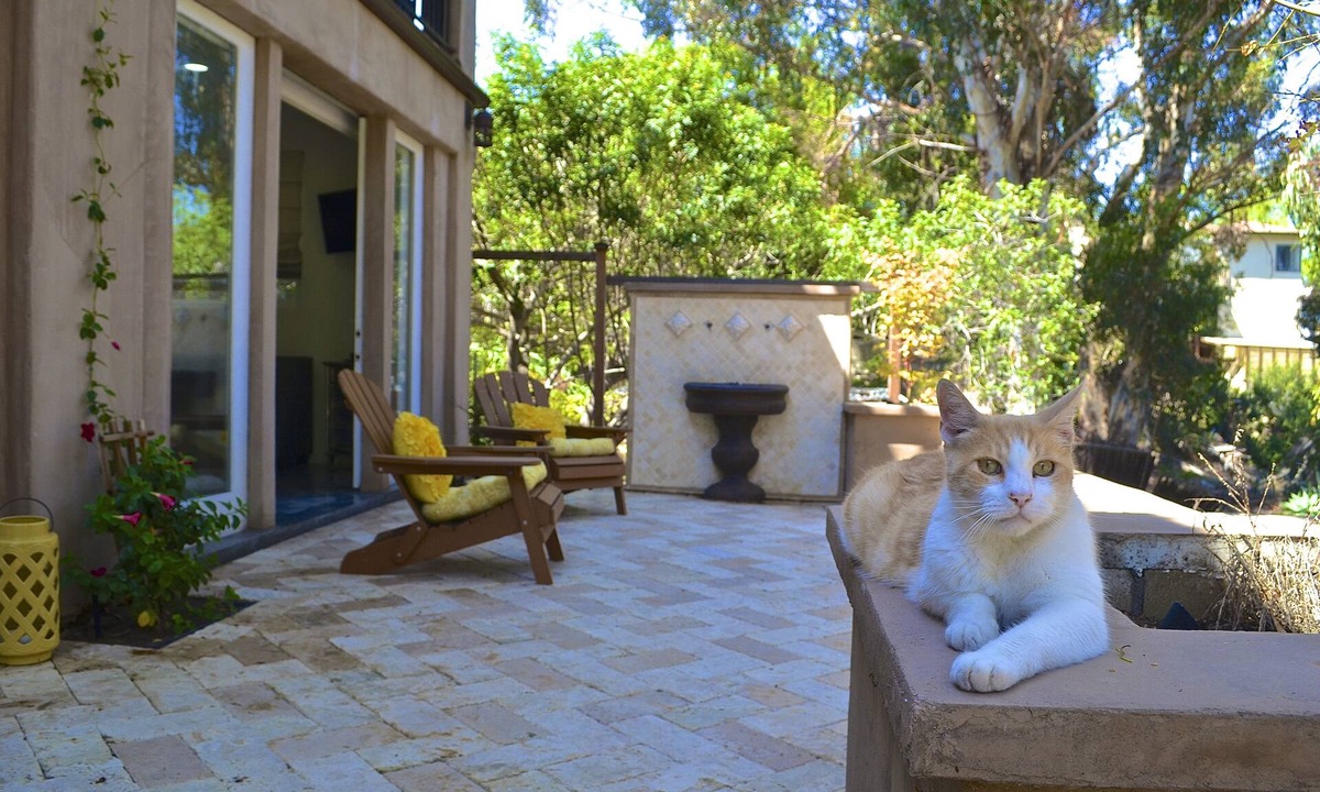 Hillcrest Apartment | Lux Modern Mission Hills Canyon Apartment! Centrally Located in the heart of SD!
