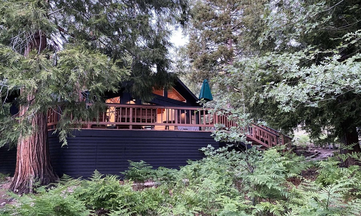 Fern Valley Cabin | Mountain mod cabin w/EV charging - Fernwood