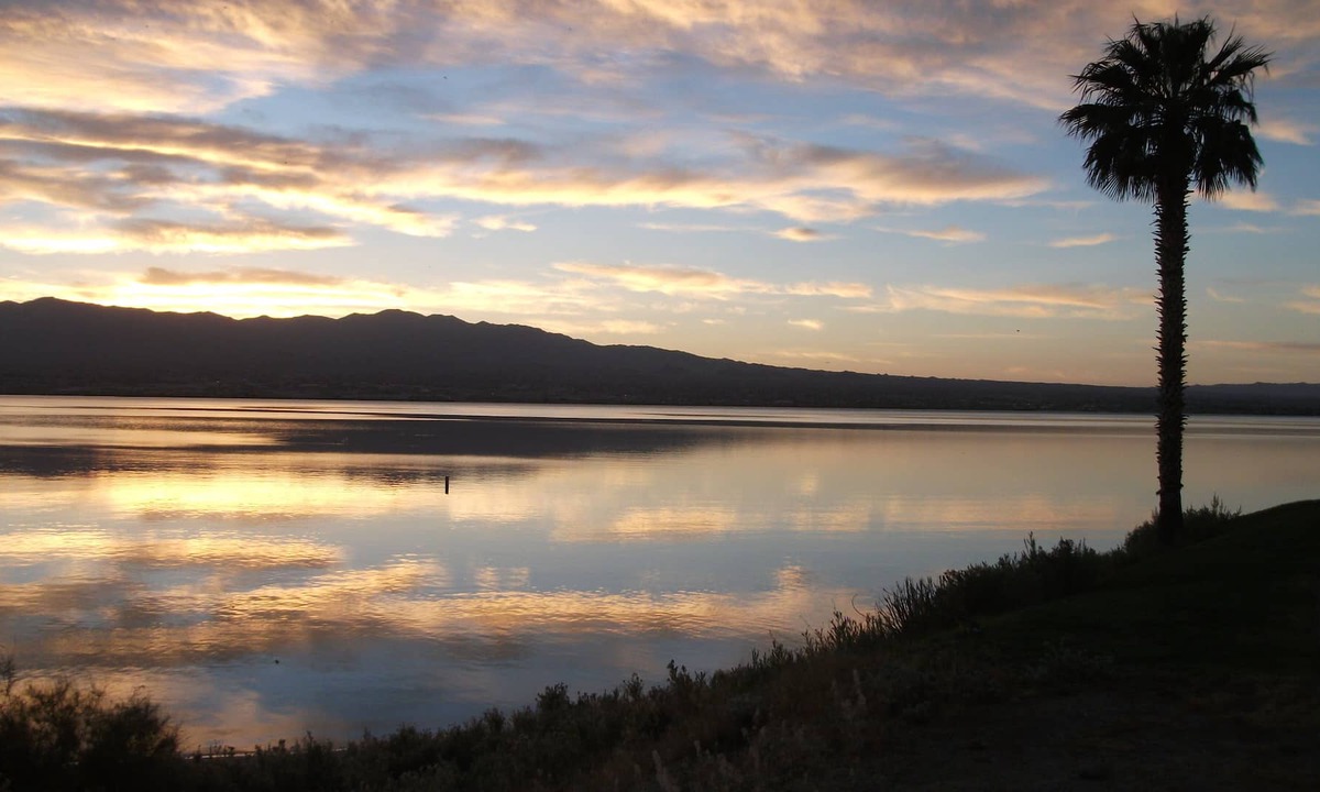 Havasu Lake House | ON The WATER!! At Lake Havasu Resort California - for: Boating, Skiing, Jettin