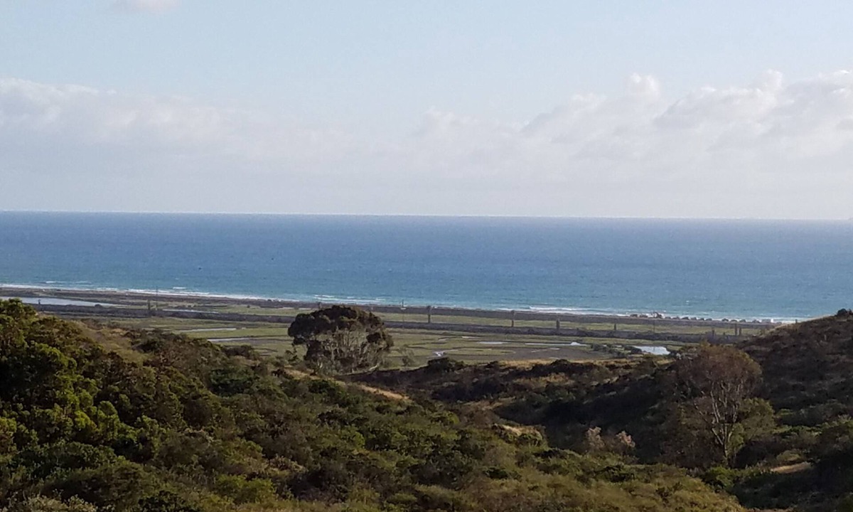 Cardiff-by-the-Sea Apartment | Private entrance 1 bedroom flat close to the beach in a quiet neighborhood