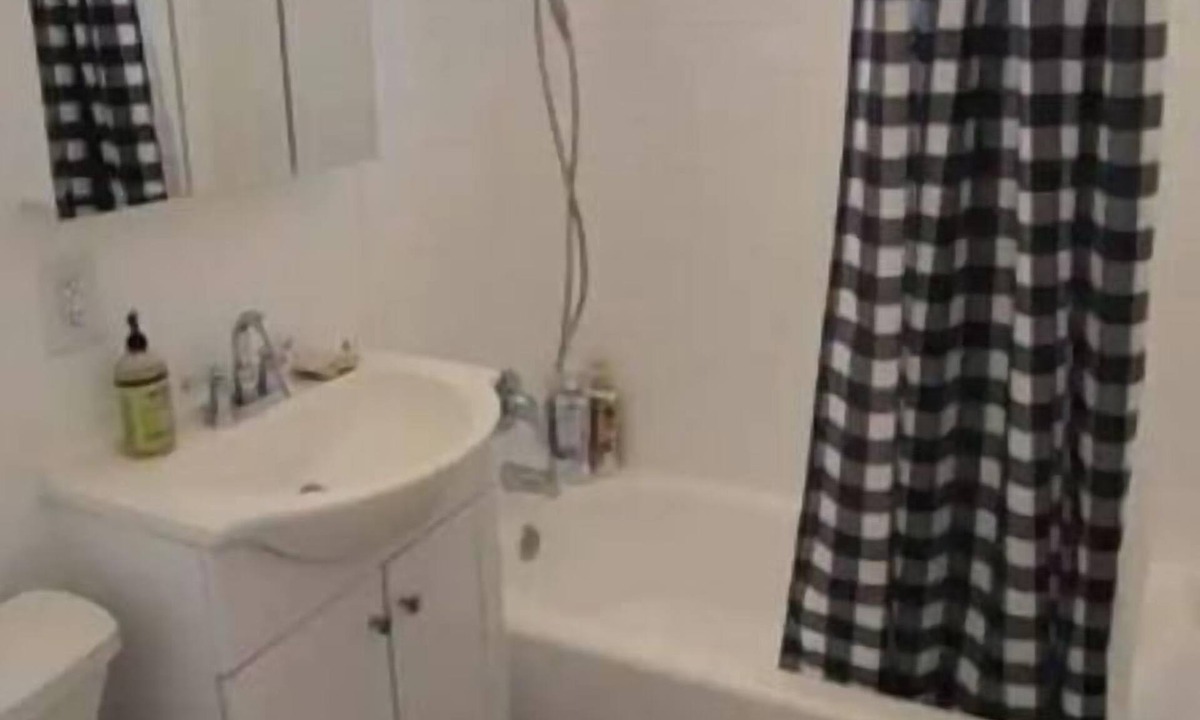 Berryessa House | Relaxing 2B/1B suite with big backyard