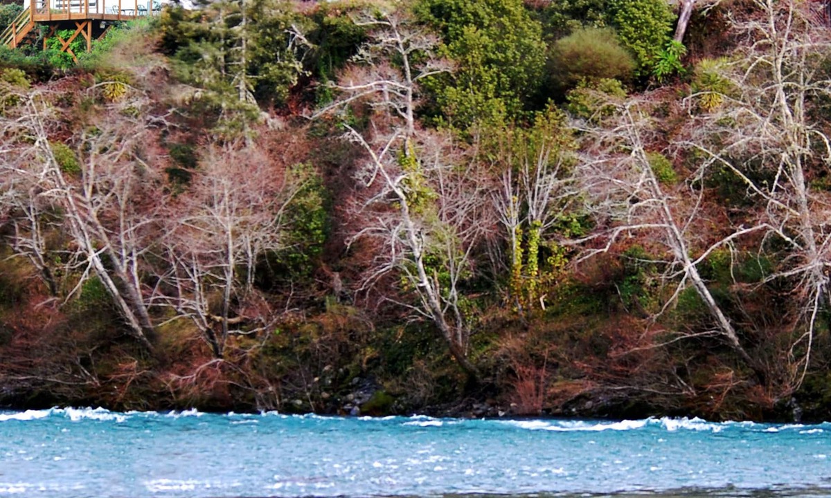 Crescent City House | Riverfront Redwood Retreat Nestled in Nature
