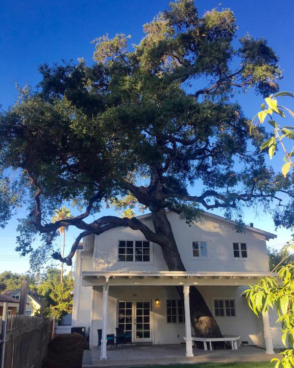 North Central Bed & Breakfast | Rose Bowl House