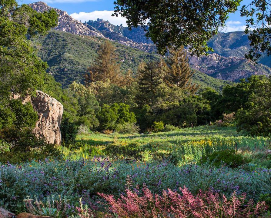 Mission Canyon Villa | Santa Barbara Botanical Cabin
