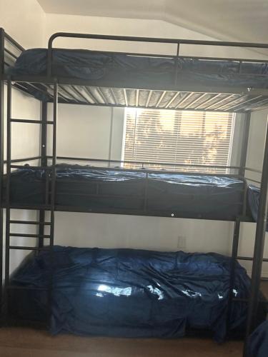 Mid-City Hostel | Santa Monica Stays