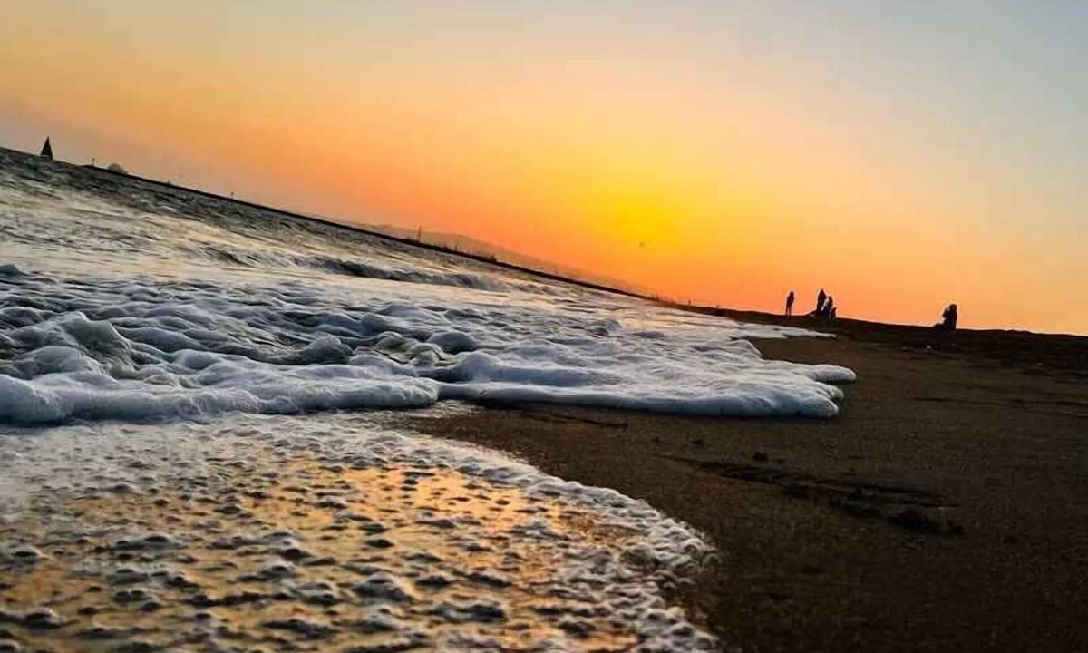 Belmont Shore Apartment | Shaggy Seahorse:Beach~Bay~2ndSt~Fast Wi-Fi+Pets OK