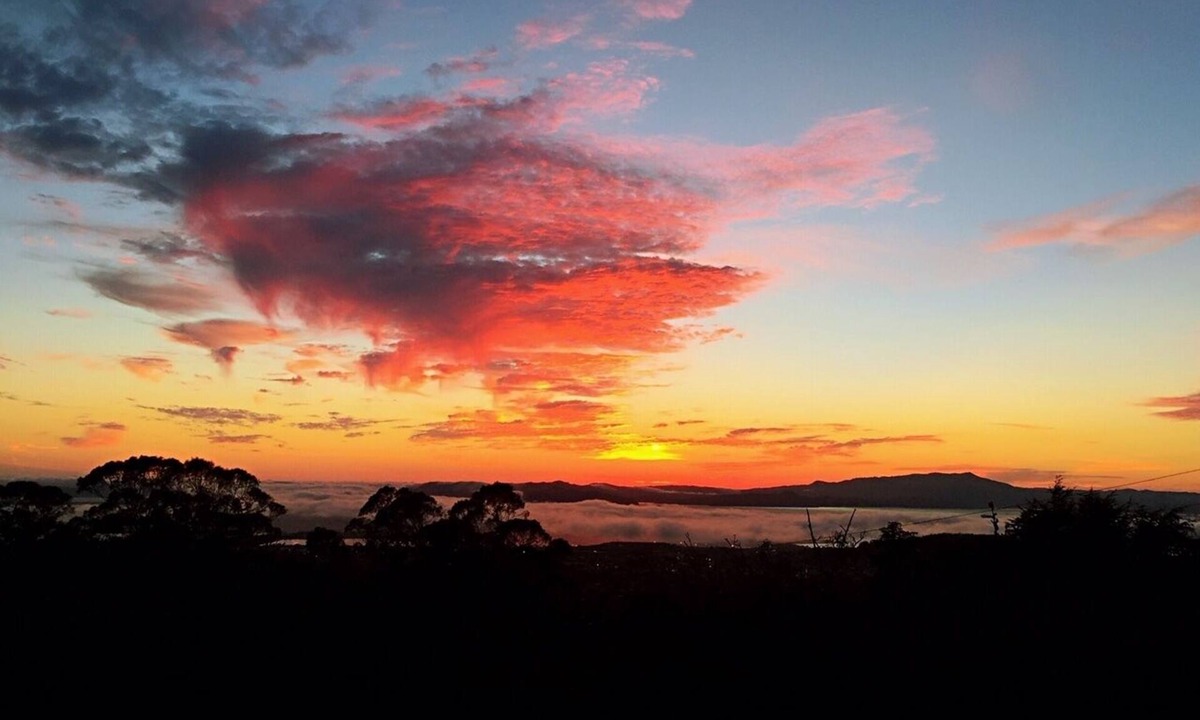 Berkeley Hills House | Spacious, beautiful home with amazing views