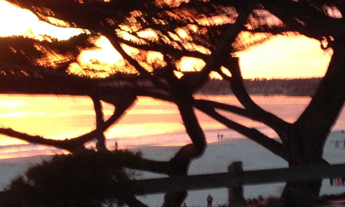 Carmel Point Cottage | Steps To Carmel Beach, in the golden rectangle. The perfect location!