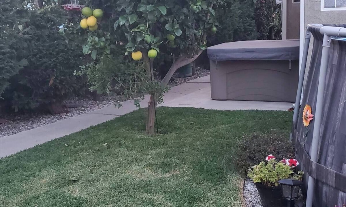 Lawndale Apartment | Studio in Southbay close to the beach SoFi stadium LAX