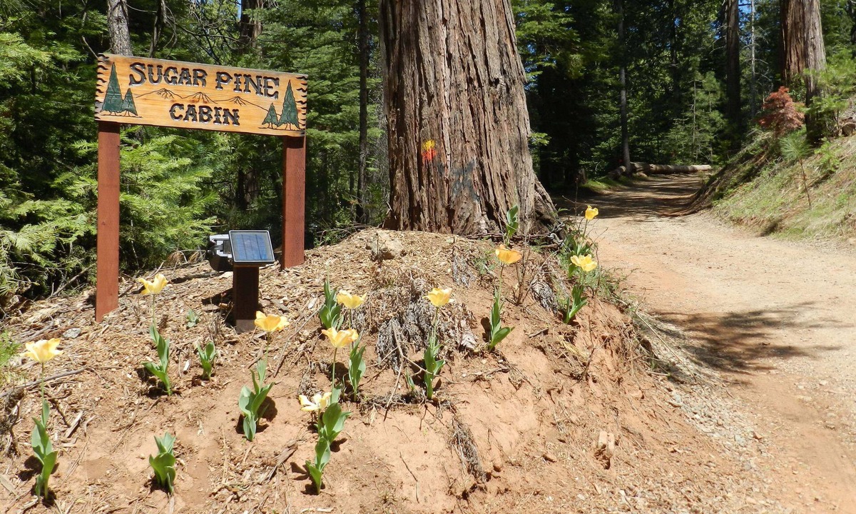 Mariposa Cabin | Sugar Pine Cabin in beautiful Mariposa Pines