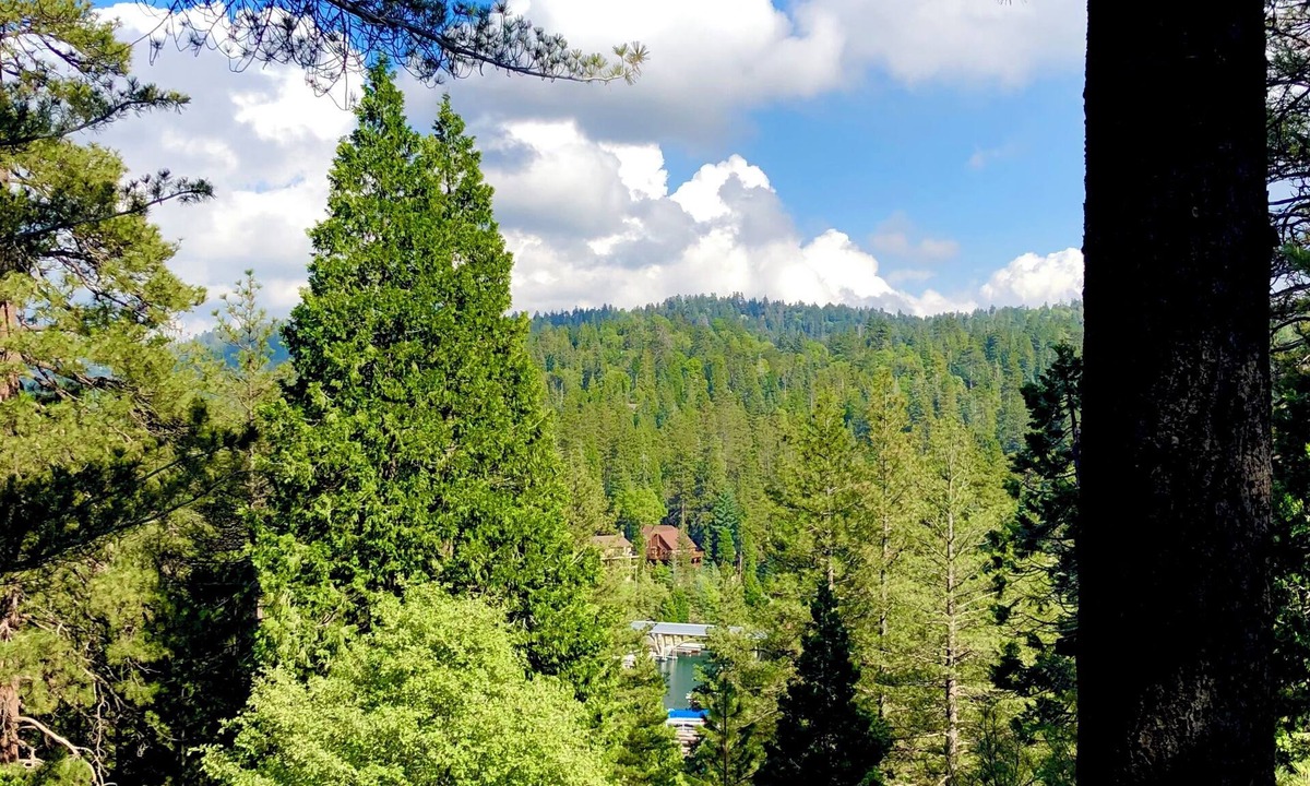 Blue Jay Cabin | Superb treetop cabin with Blue Jay Bay view and WiFi in Lake Arrowhead