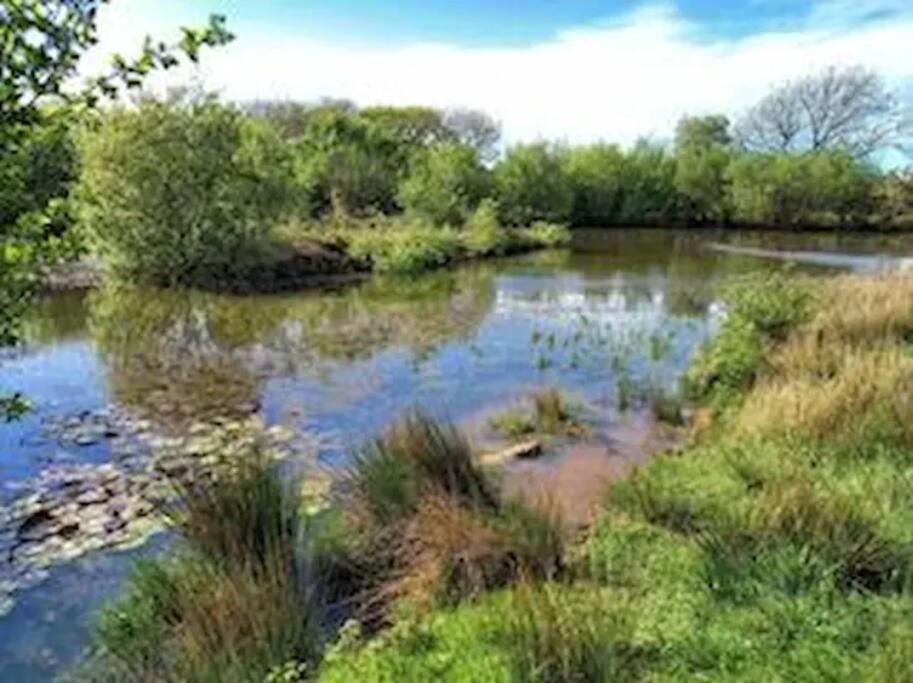 Saint Gennys House | The Haven a quiet countryside retreat