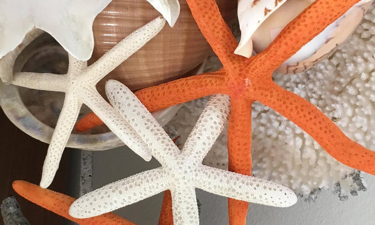 Old Towne Cottage | The Starfish Cottage" Steps to the Ocean. 🌊🏖️. 🌀SUMMER FUN 🌀RELAX & ENJOY 😎