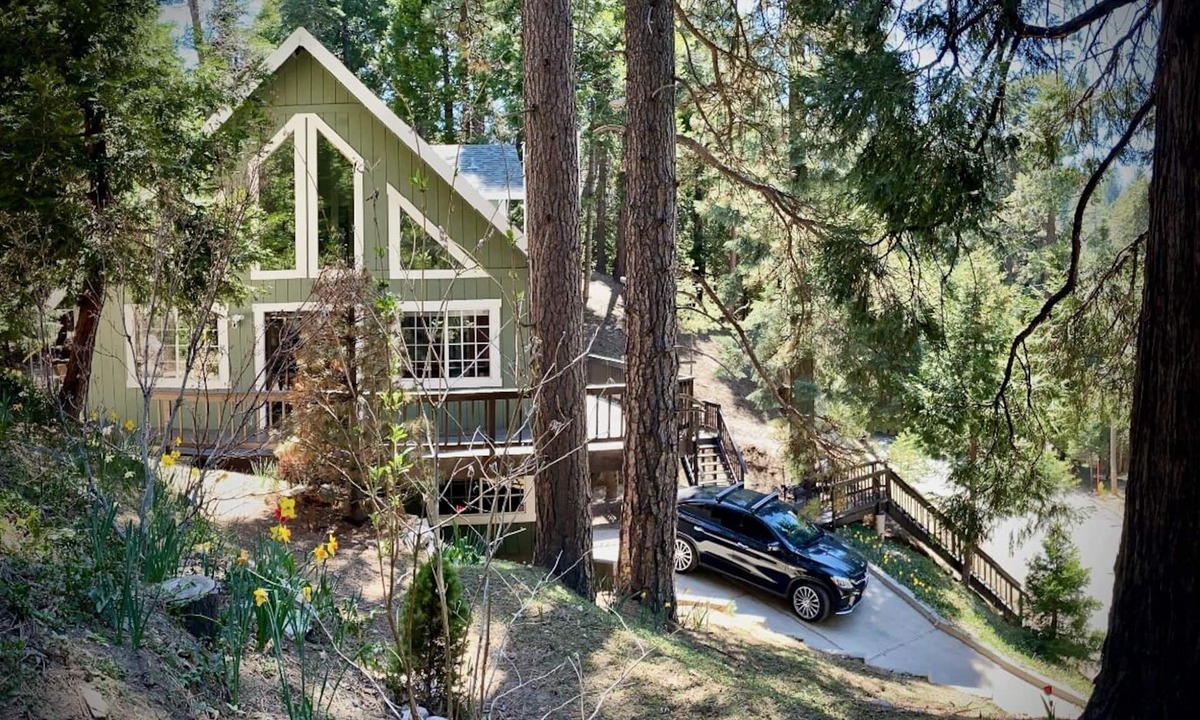Cedar Glen House | Treehouse Lodge- A quiet hilltop creative retreat, minutes from the lake.