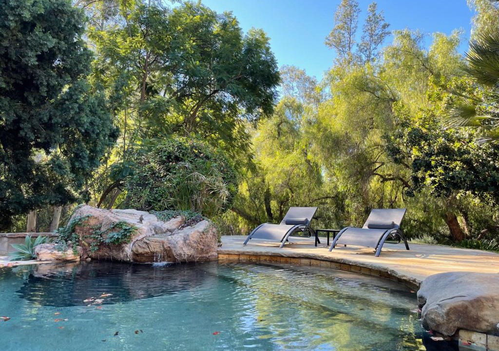 Calabasas House | Turtle