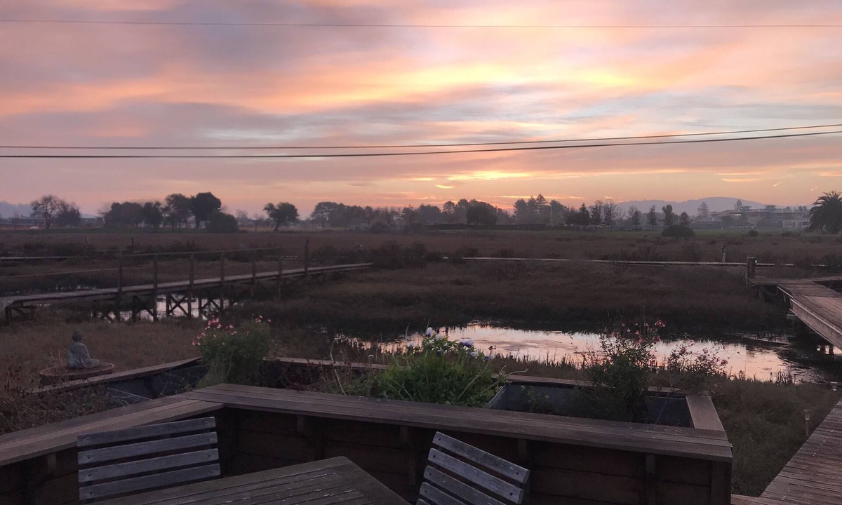 Larkspur House | Unique home on tidal creek and marsh.
