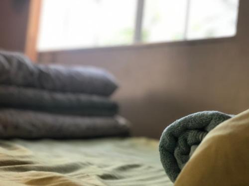 Southeastern Sacramento Hostel | WHOLE Family - WholeVille