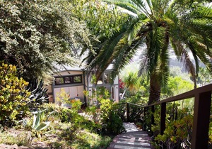 A LUXURY TROPICALIA RETREAT IN SILVERLAKE