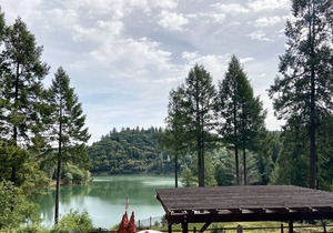 Beautiful Rollins Lake Inn - Studio Cabin #6