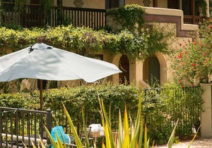 Blue Iguana Inn