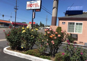 Cinema motel