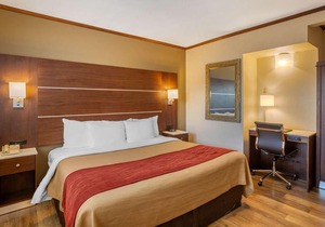 Comfort Inn San Diego At The Harbor